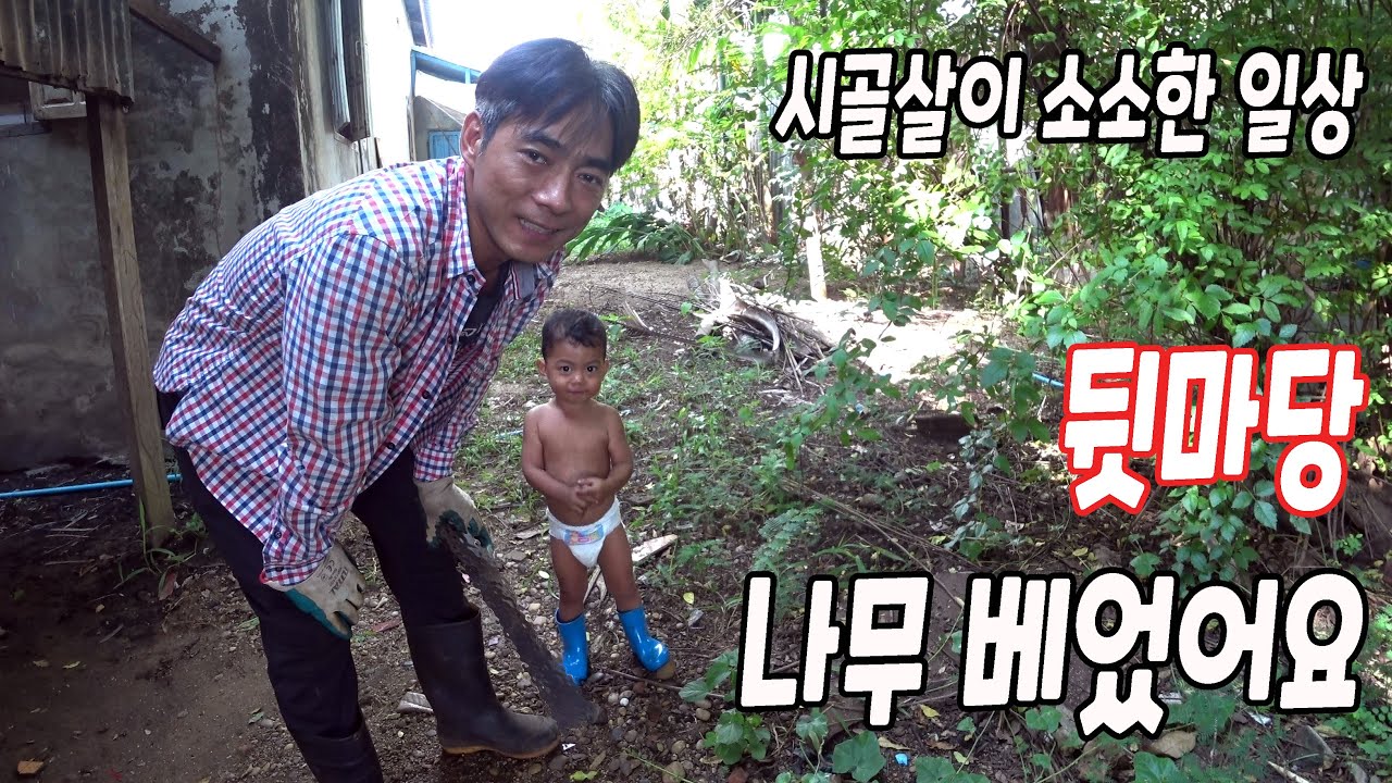 #79 뒷마당 나무 자르기 (라오스 처갓집 소소한 일상이에요)