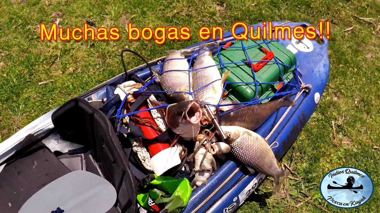 🎣Muchas bogas en el Rio de la Plata!! Salida 6/12/2025