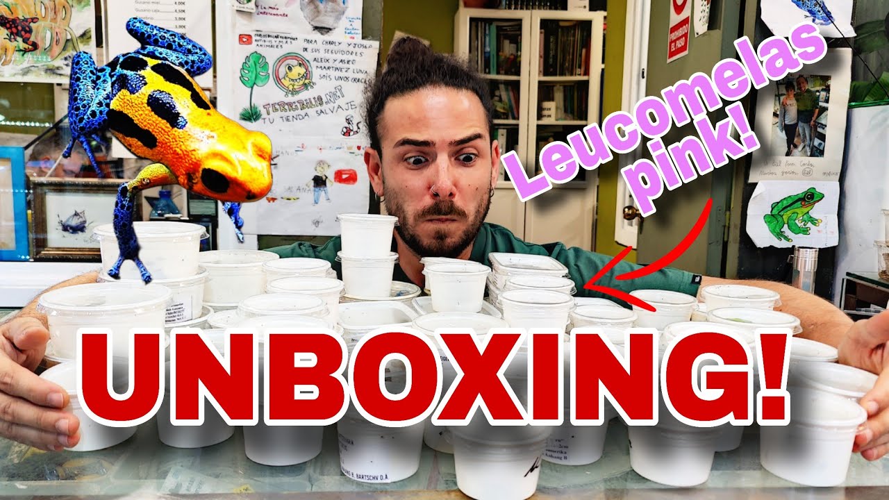 UNBOXING del FROG DAY! EXTRAÑAS NOVEDADES!!!
