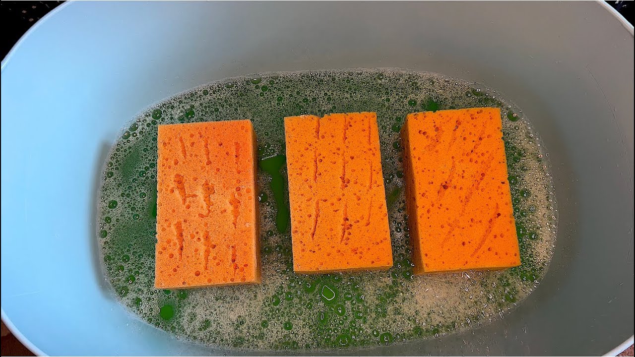 ASMR 💚BLOCK SPONGES SQUEEZING 💚RINSING