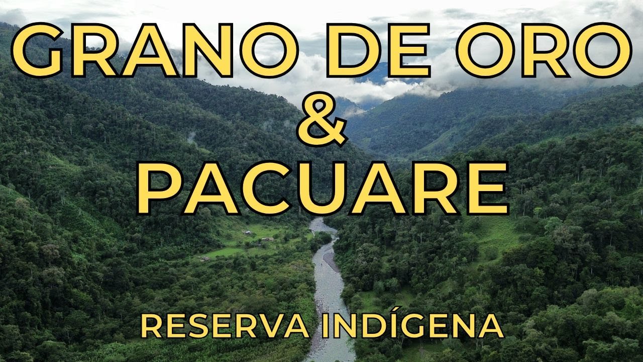 GRANO DE ORO & PACUARE 👹💦 | RESERVA INDIGENA COSTA RICA | KTM890 XPULSE200 | AVENTURAS DE UN MOTERO
