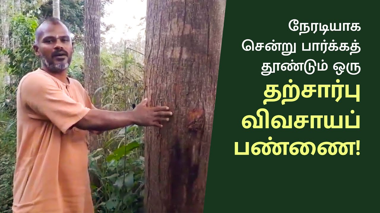 தற்சார்பு இயற்கை விவசாய மாதிரிப் பண்ணை - ஒரு விசிட்!