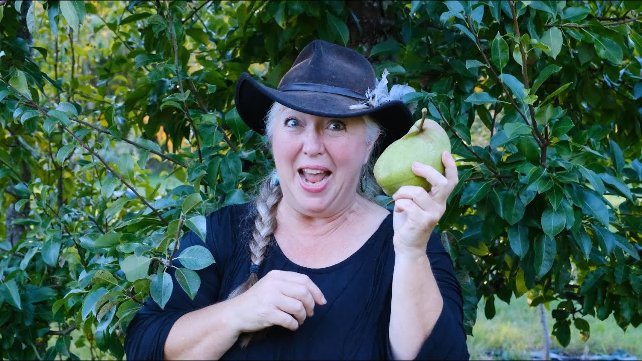 Raintree Nursery Fruit Feature: Butt Perry Pear!