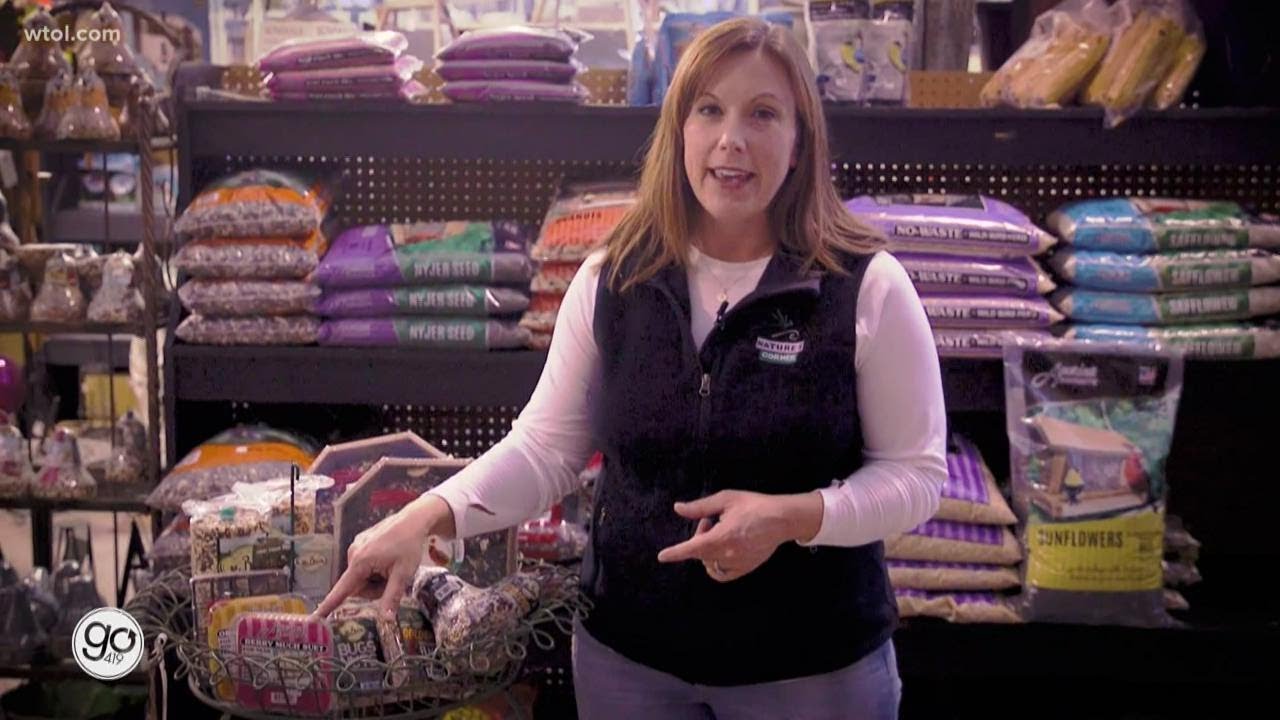 Feeding birds throughout the winter | Go 419: Nature's Corner