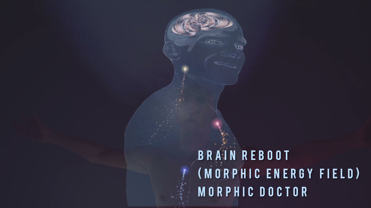 BRAIN REBOOT (MORPHIC FIELD)