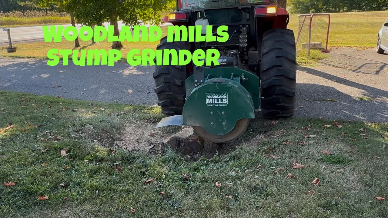 Last stump of the year