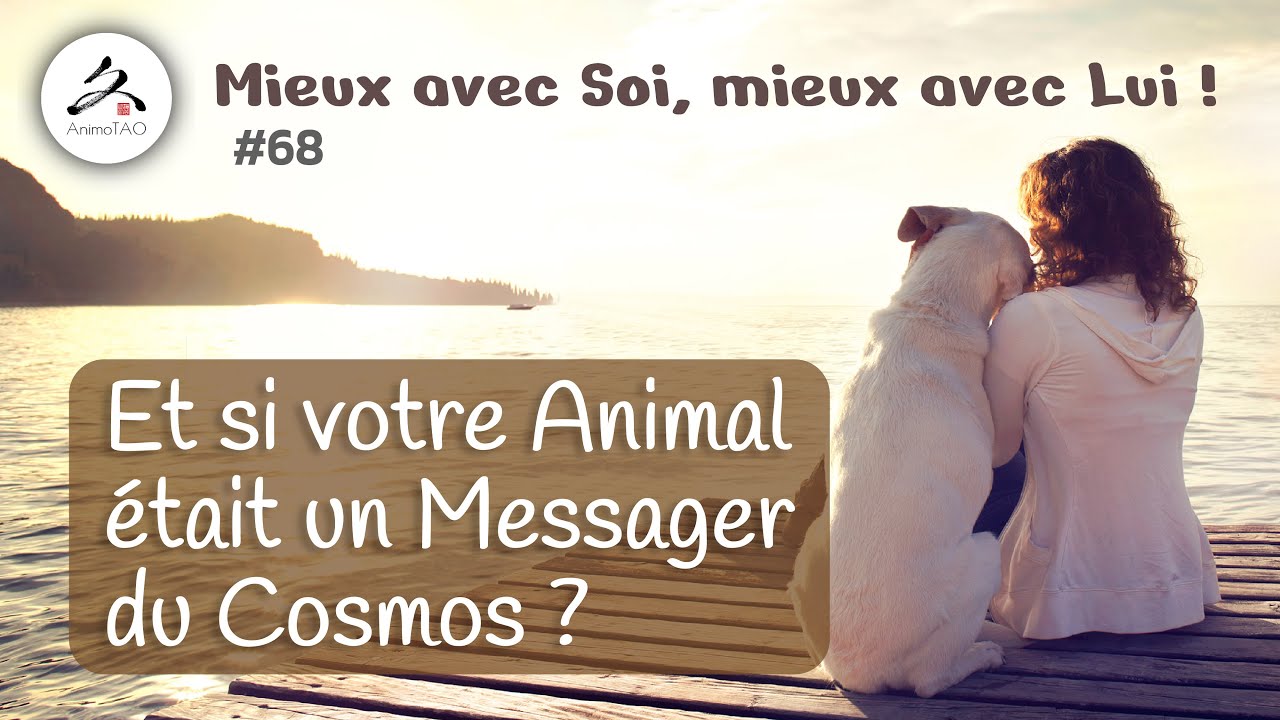 #68 Et si votre Chien (ou Chat) était un Messager de l'Univers ?