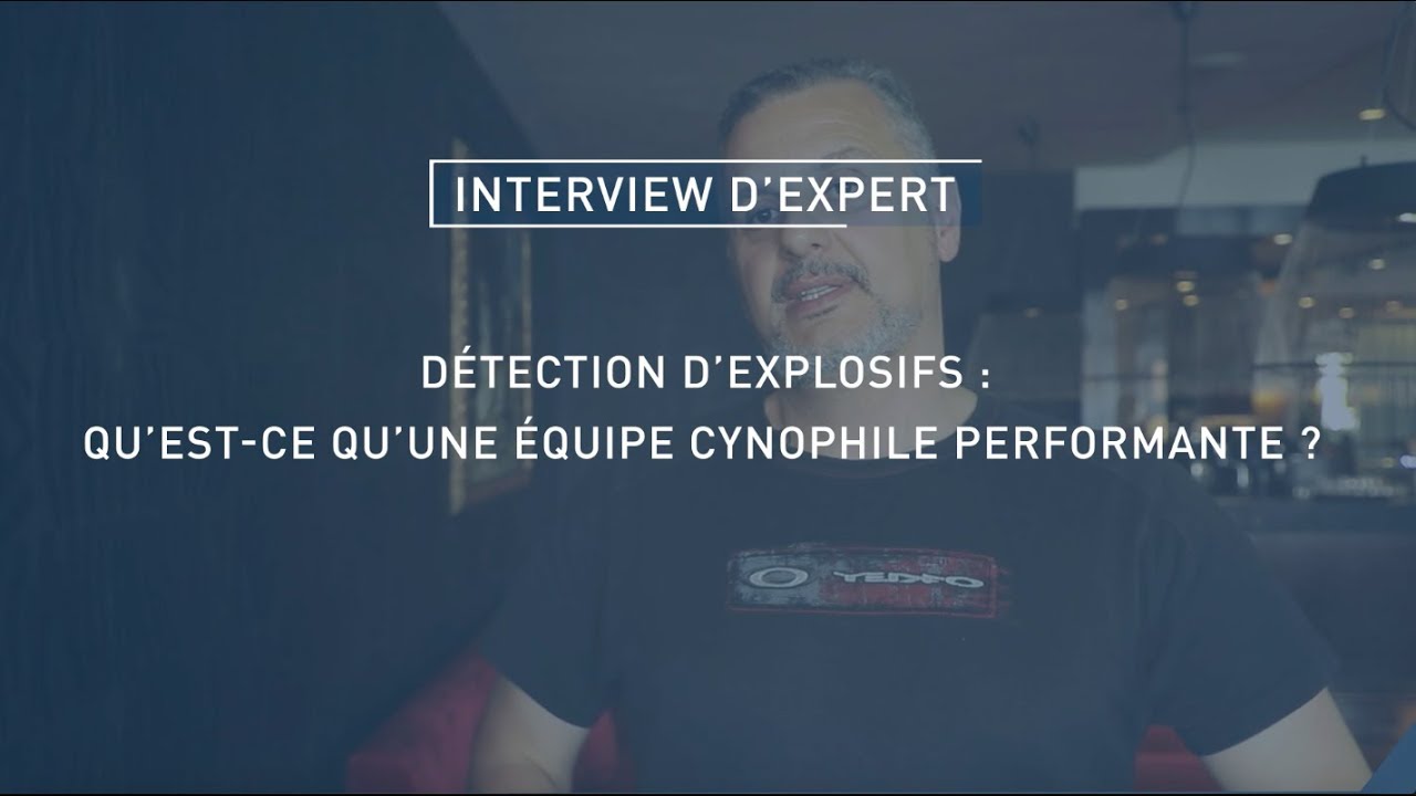 Détection d’explosifs : qu’est-ce qu’une équipe cynophile performante ?