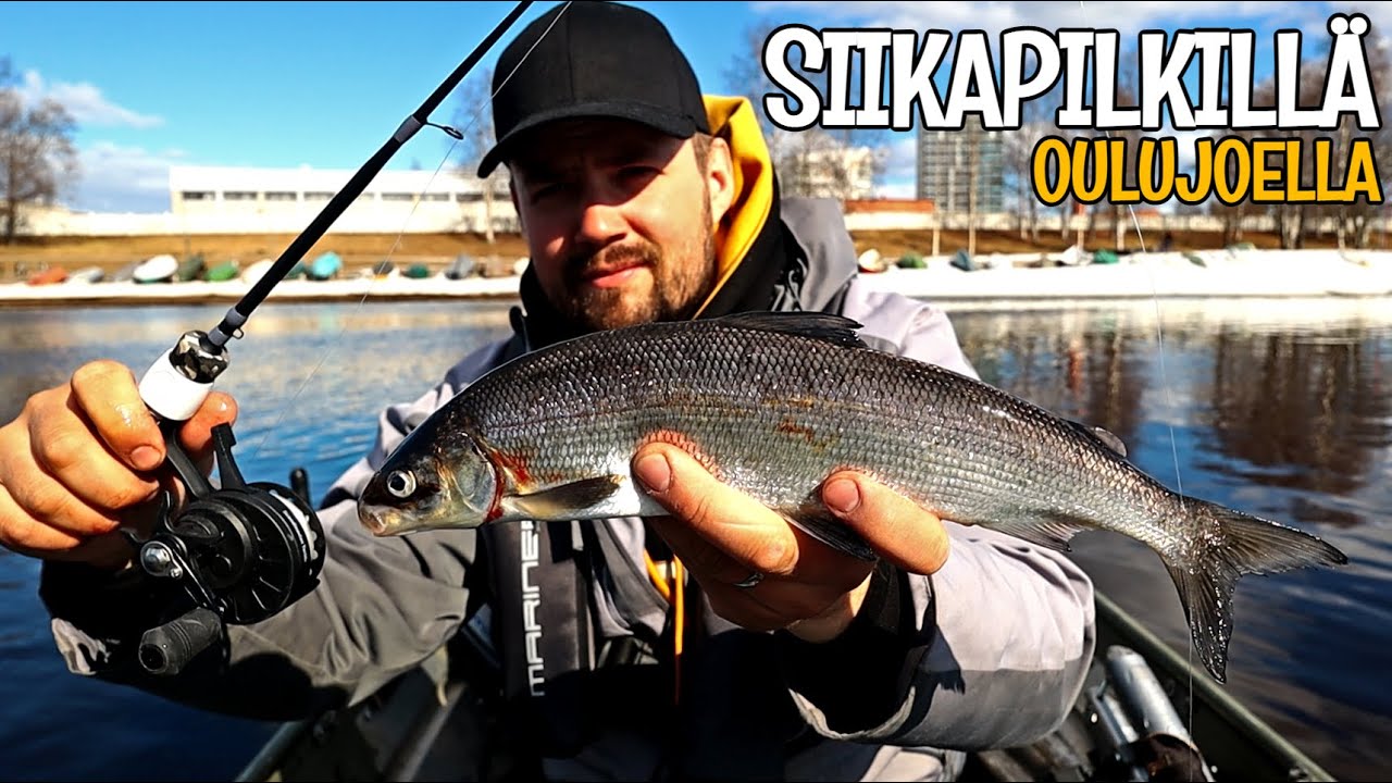 SIIKAPILKILLÄ JOKISUVANNOSSA - SCANDINAVIAN TACKLE QUADSTIK VAPA - GHOST REEL GT PILKKIKELA