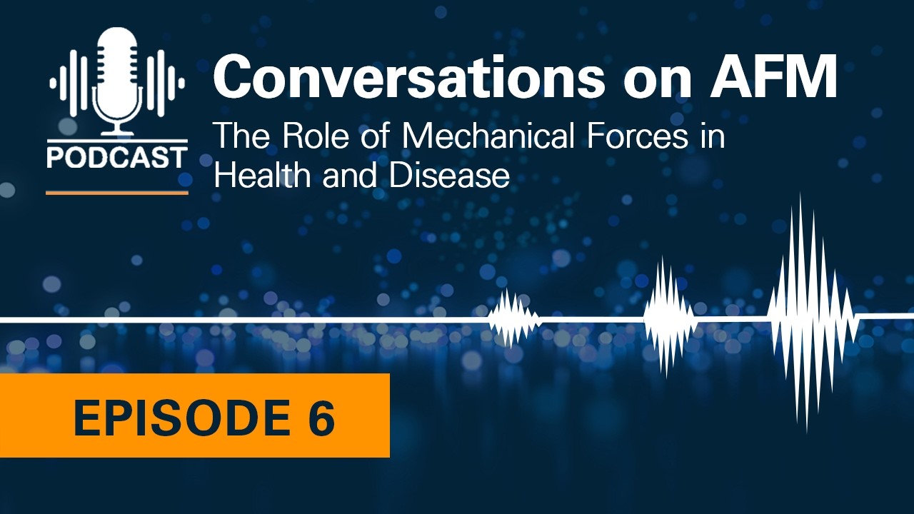Conversations on AFM #6: The Role of Mechanical Forces in Health and Disease