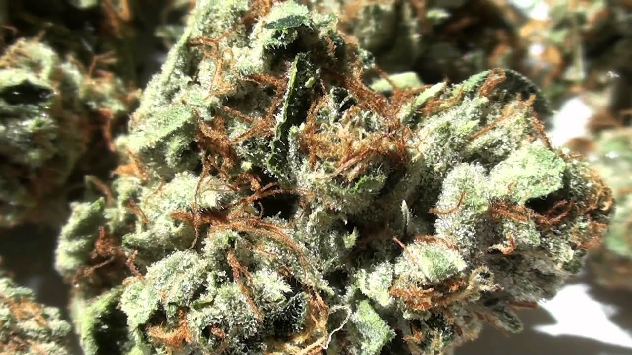 Raskal's Fire OG Kush - Strain Review