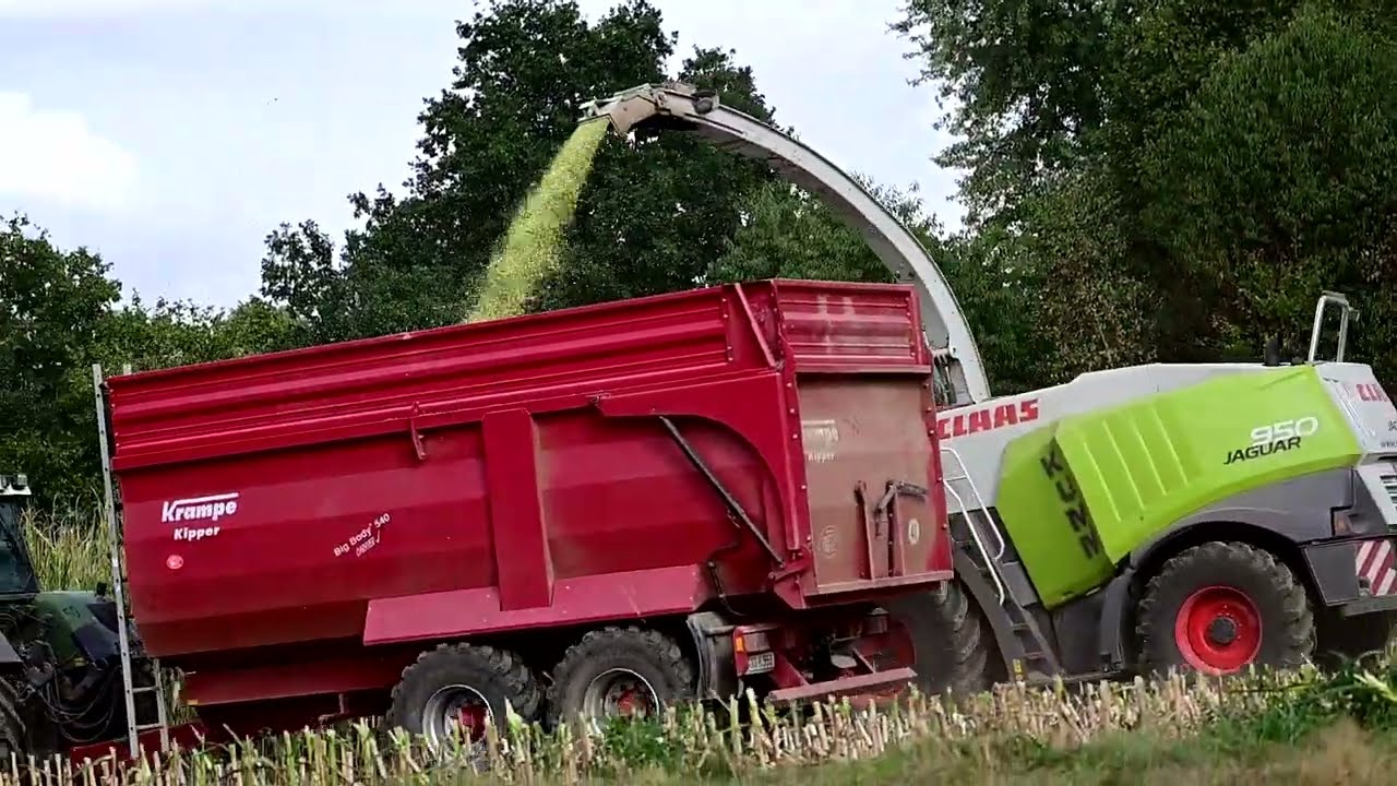 Maisernte2022