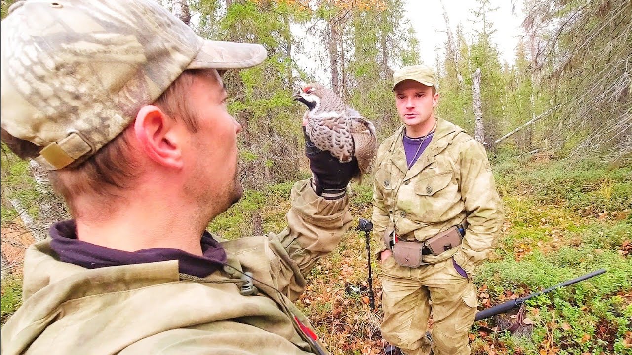 ЭТА ОХОТА ЗАПОМНИТСЯ НА ДОЛГО! ОХОТА НА РЯБЧИКА С МАНКОМ / ОХОТА НА БОРОВУЮ ДИЧЬ С МЕЛКАШКОЙ.