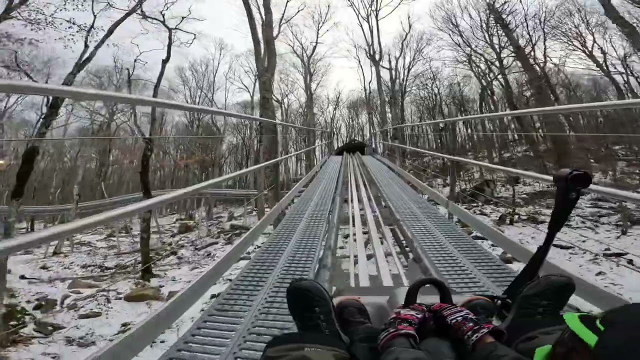Wilderness Run Alpine Coaster Sugar Mountain, North Carolina (REALLY FAST & FUN)