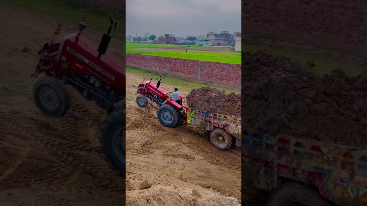 mf 260 #viral #shorts #tractor #youtubeshorts #creatshort #viralshorts #mf260turbo