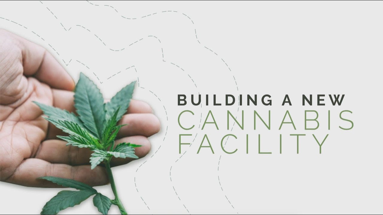 Building a New Cannabis Facility - Cannabis Facility Construction