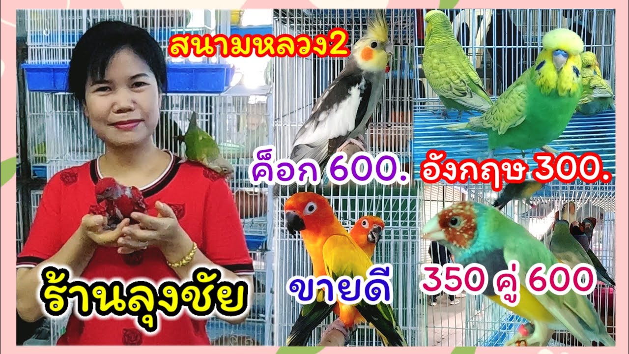 ถูกมาก!! ค็อกคาเทล600 อังกฤษ300 ร้านลุงชัย สนามหลวง2