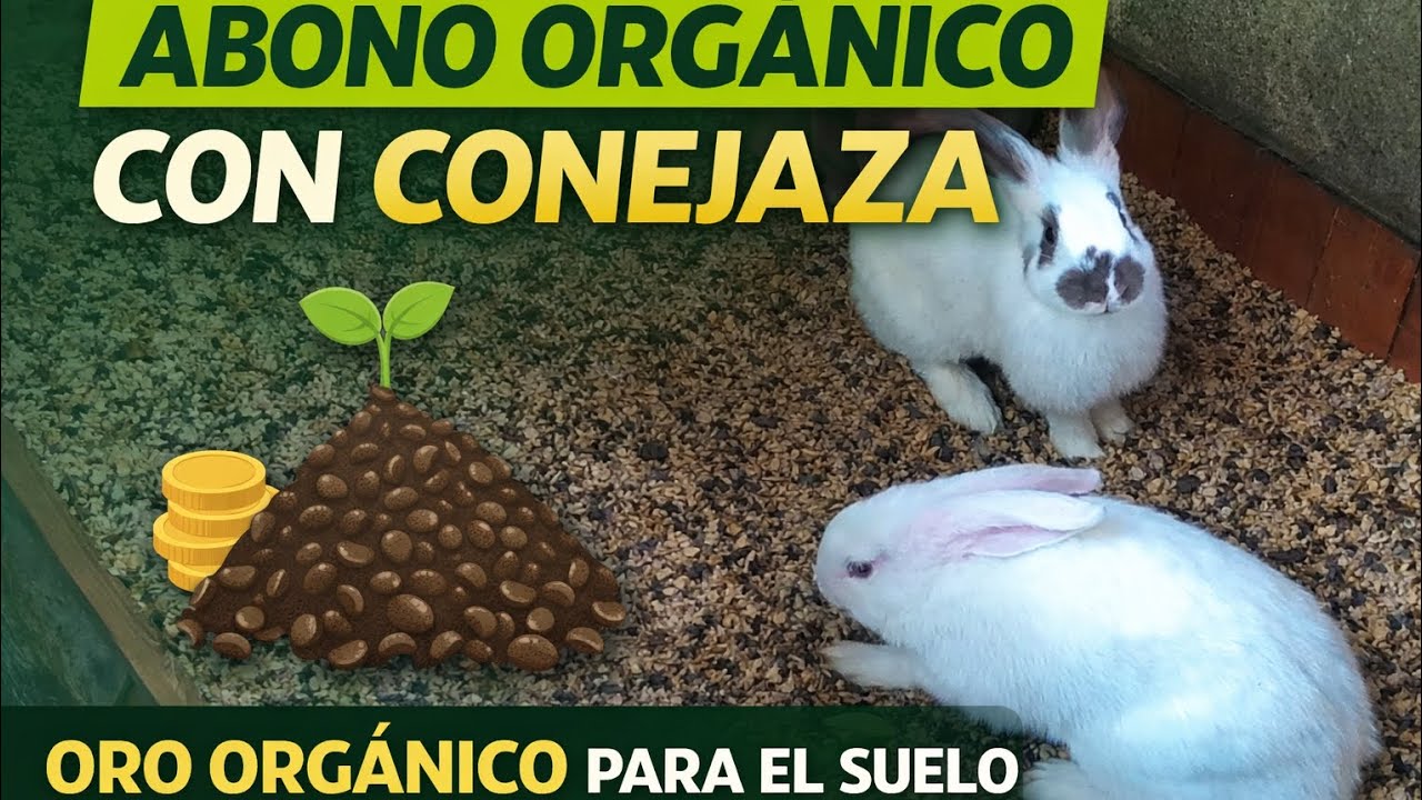 Fertilización orgánica #organic mejores resultados más salud y vida para los  #suelos 