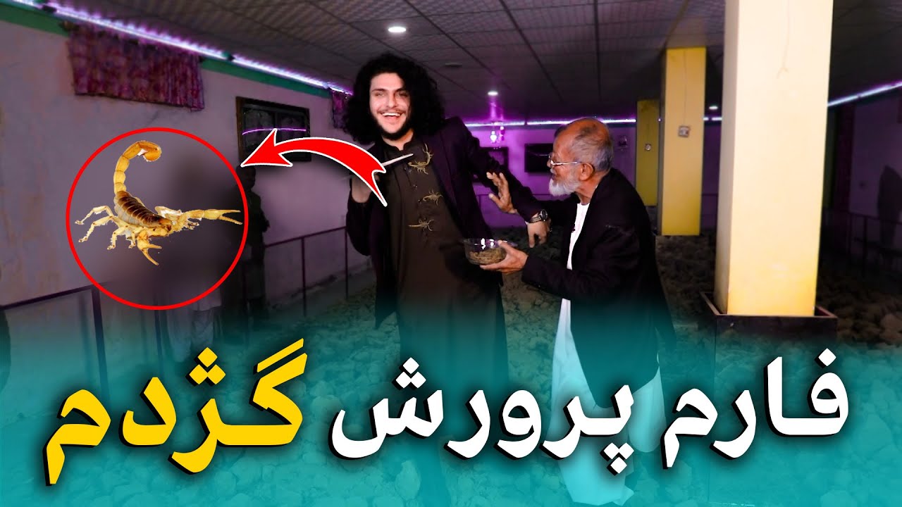 هی میدان طی میدان - سفری به دنیای زهرآگین گژدم‌ها در بزرگترین فارم پرورش گژدم