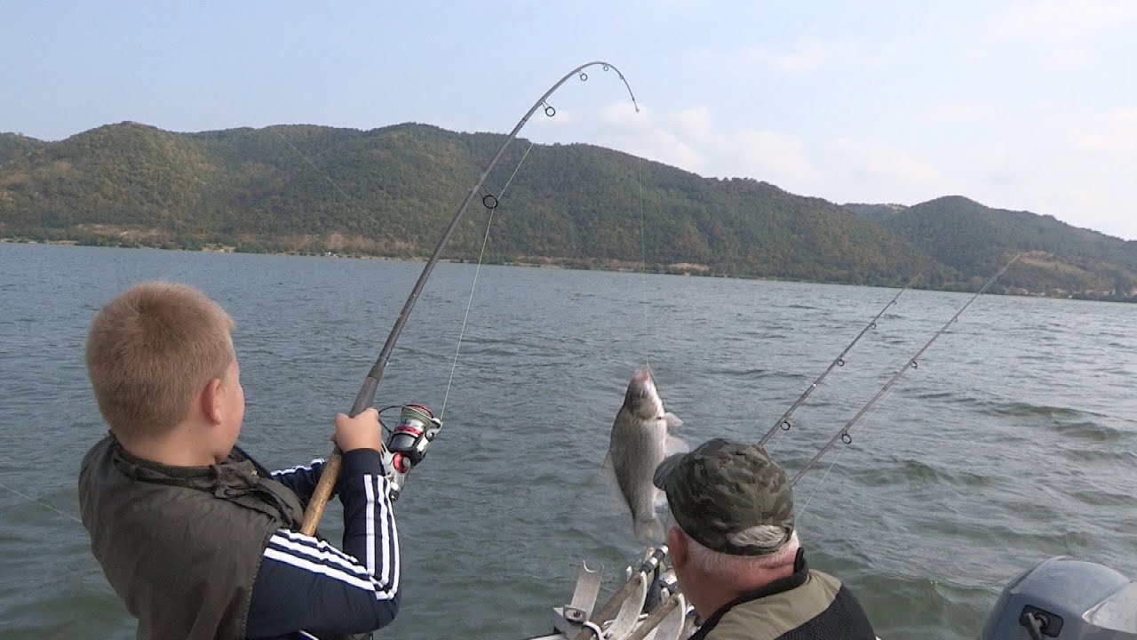 Pecanje šarana i babuške na Dunavu - Dubinsko pecanje - Priprema valjka za šarane | Fishing carp