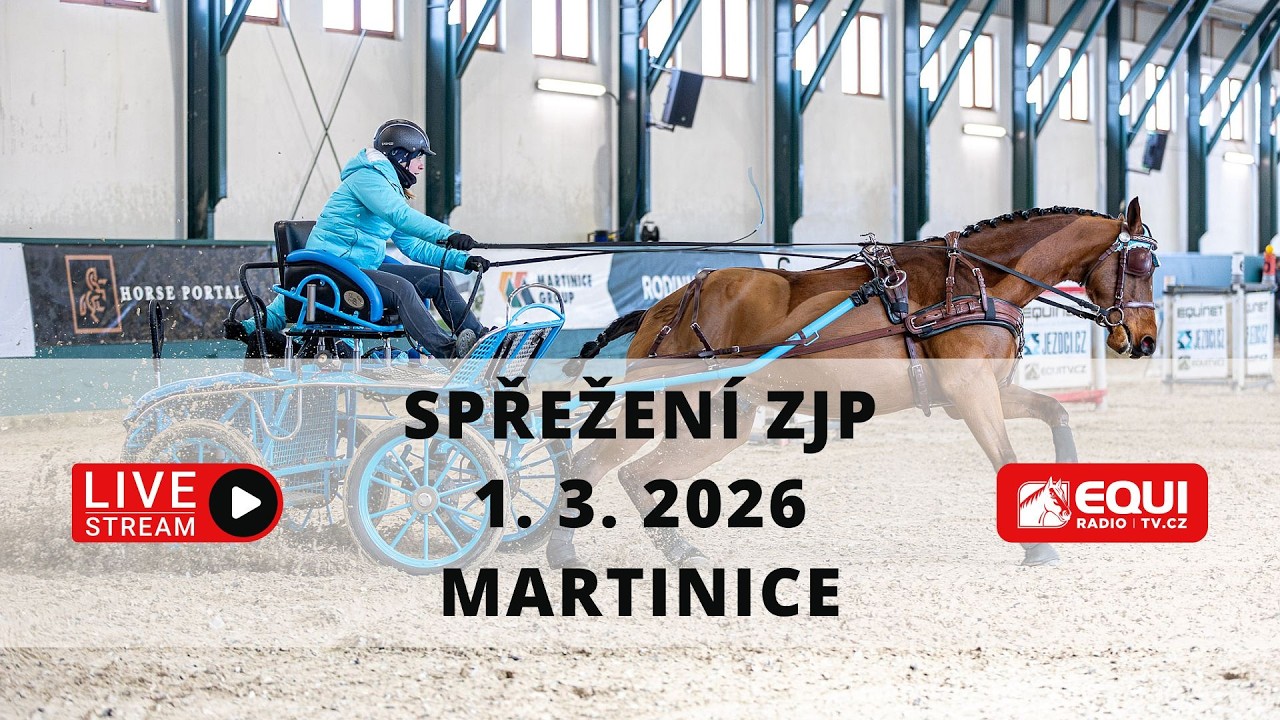 ŽIVĚ 🔴 | spřežení Martinice – 1. 3. 2026
