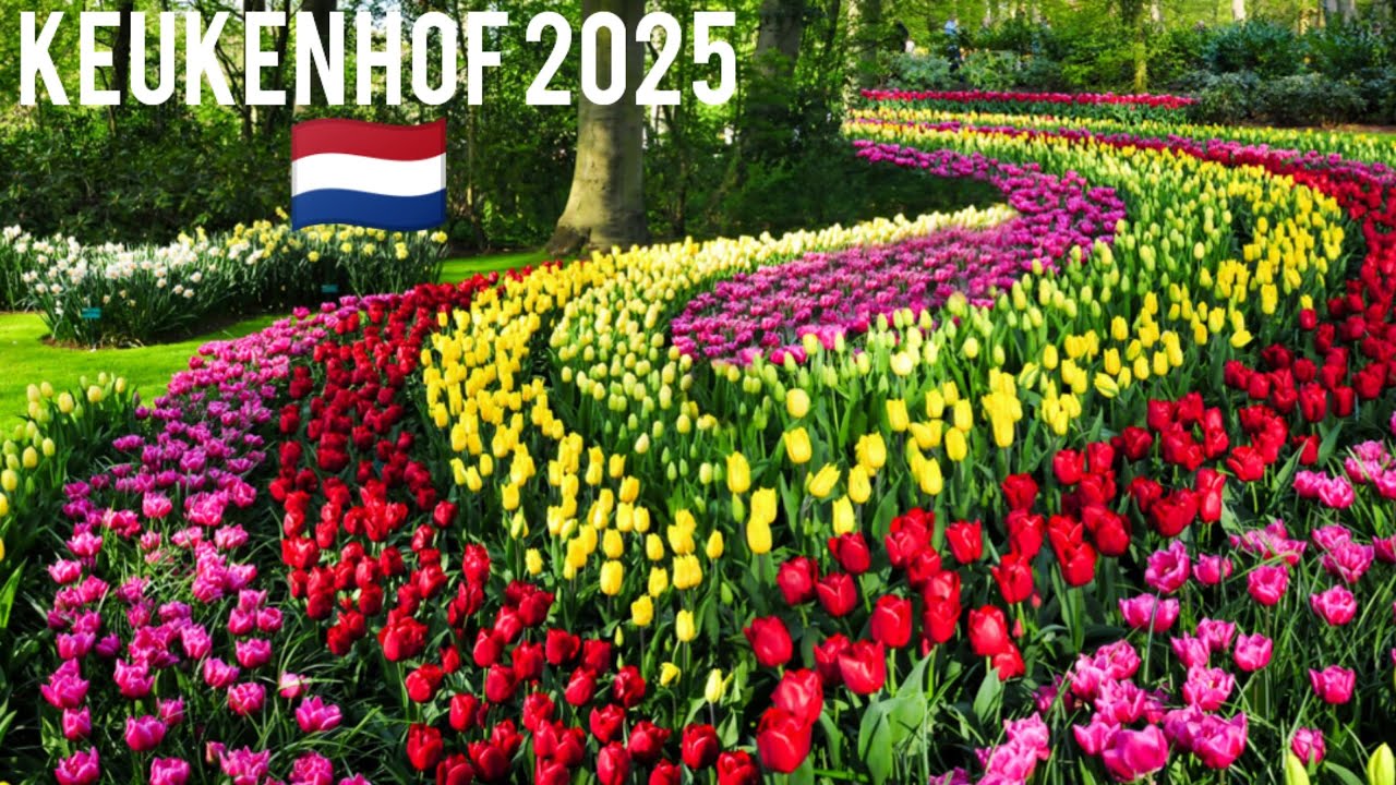 Garden of Dreams KEUKENHOF 2025 | Chef Yasir