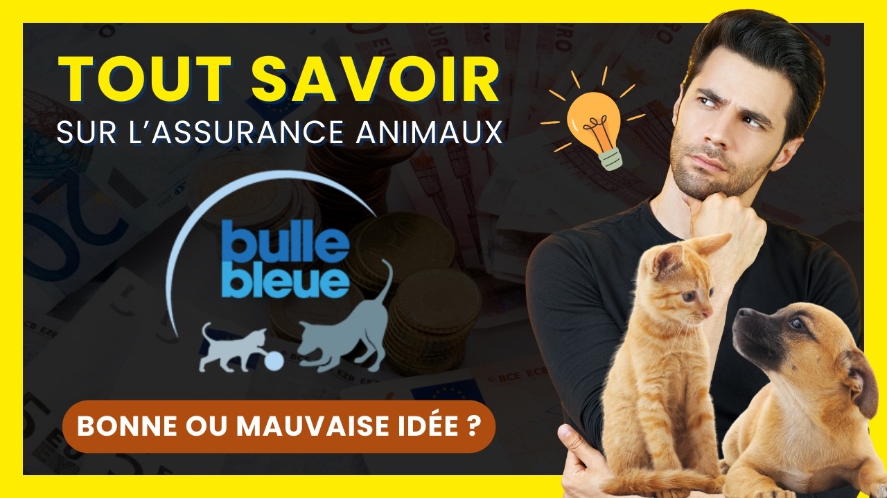 Que vaut BULLE BLEUE ? | Bonne Assurance pour Animaux ou &agrave; Fuir ? | Mon AVIS | Mutuelle Animal