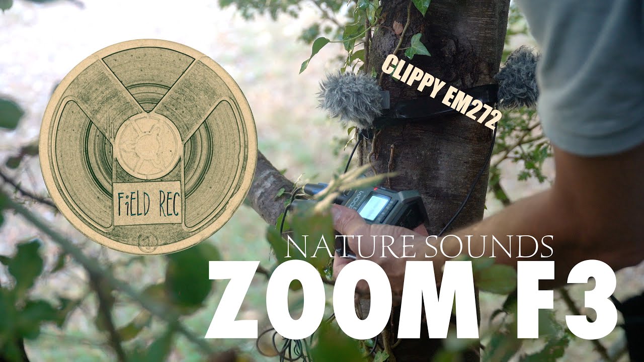 ZOOM F3 recorder-Nature Sound after the rain