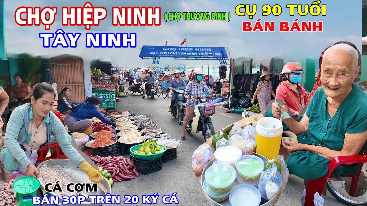 Gặp Chị Gái Bán Trên 20 Ký Cá Cơm Hồ Dầu Tiếng Chỉ Trong 30 Phút Ở Chợ Hiệp Ninh( chợ thương binh)