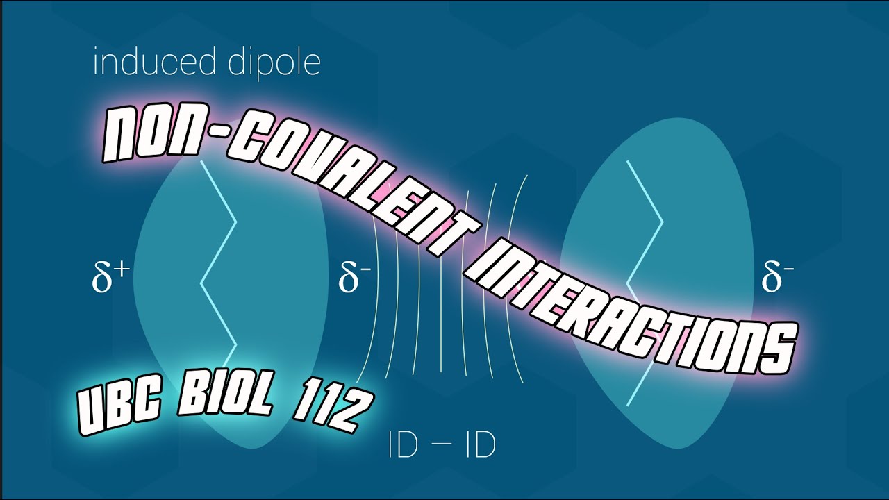 Chemistry for Biology: Non-covalent Interactions - Biol 112 at UBC
