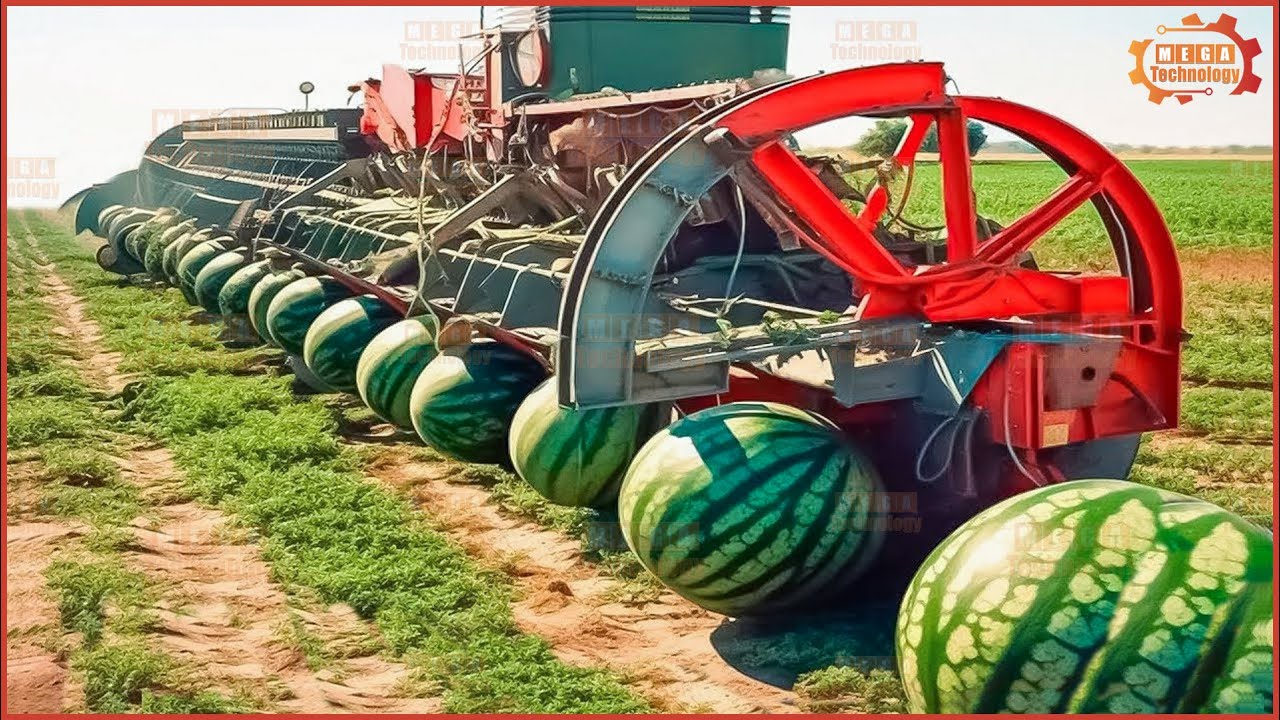 50 Modern Agricultural Machines, Harvesting Vegetables That Work at a Different Level