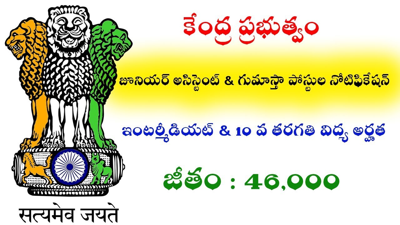 Latest Government Junior Assistant And Peon Posts Notification 2019 || New Govt Jobs Recruitment