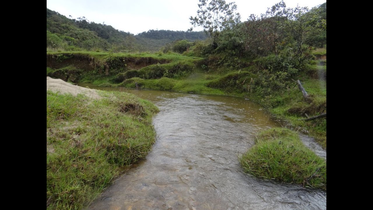 finca en venta Carmen de Viboral Antioquia de 900 cuadras (576 HA )