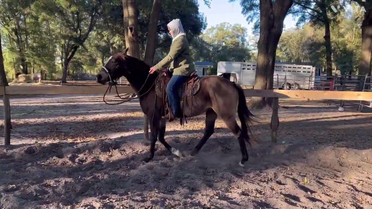 Whinny First Canter with a Rider