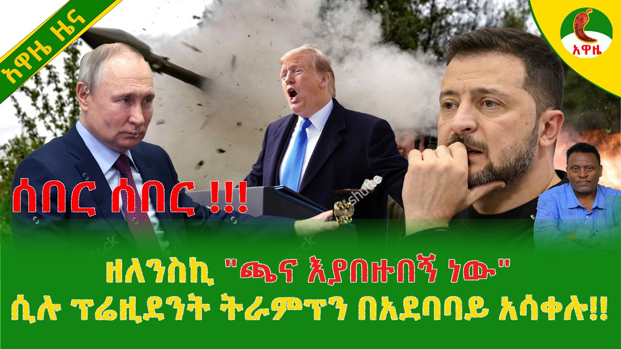 Alemneh Wasse  ዘለንስኪ 