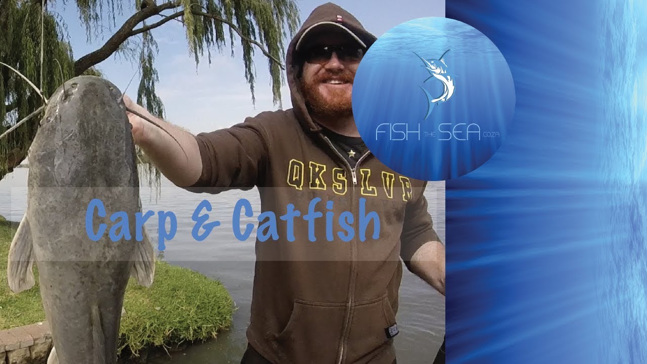 Carp & Barbel Bank Angling In The Vaal River | Drone Fishing Video | Fish The Sea
