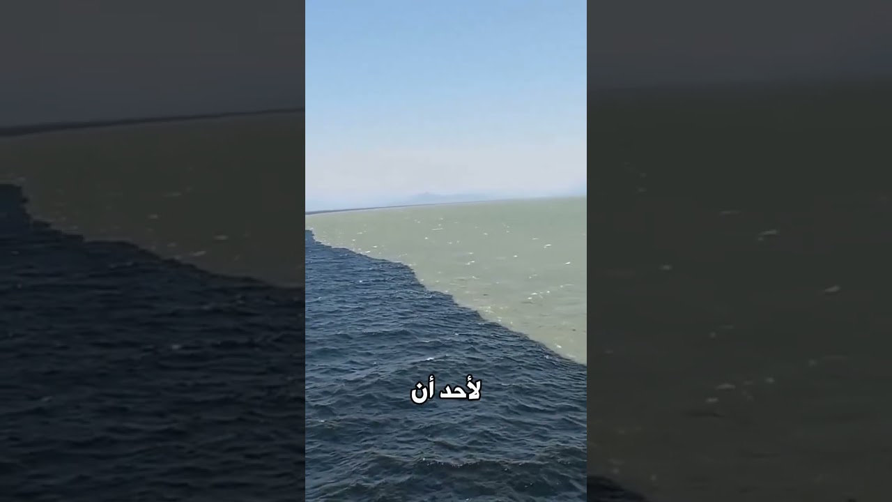 لن تصدق ماوجده العلماء في غرب كندا!