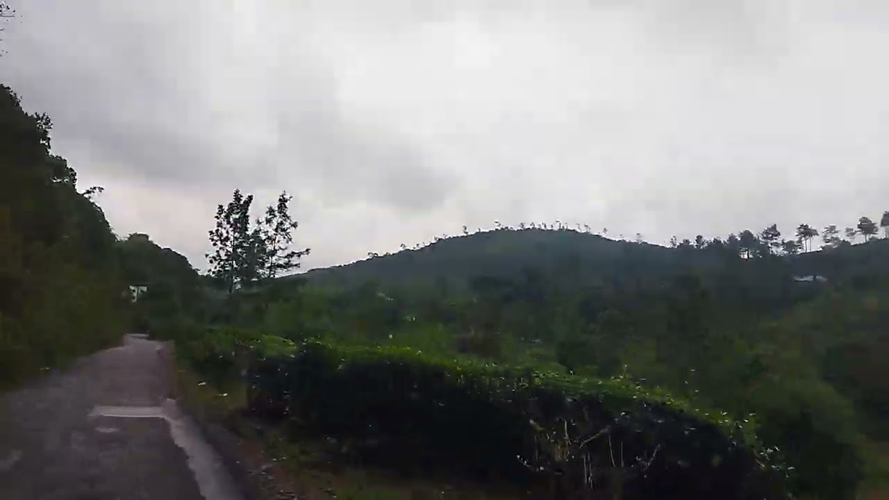 Pambanar Wonderful✨😍 View /Peermade/Idukki/Kerala #travel #trend #trending #youtuber