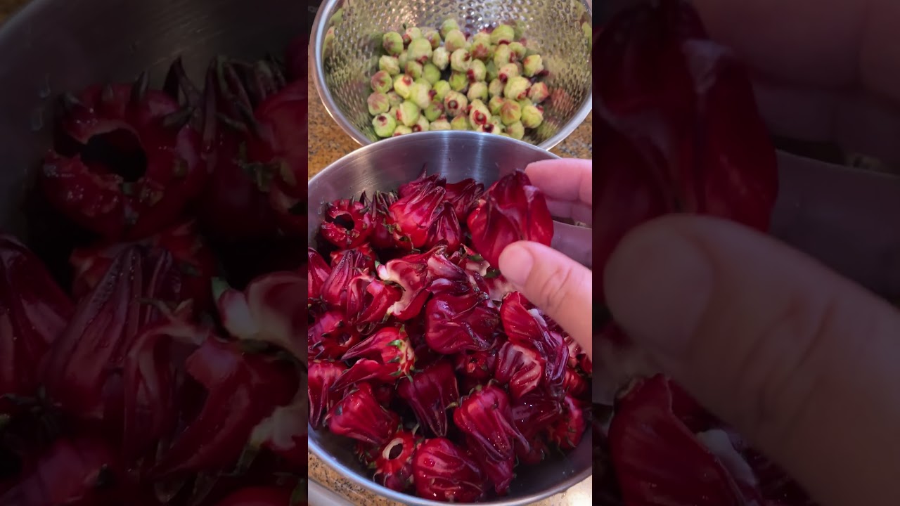 Candied Roselle - Step by Step (洛神花蜜餞)