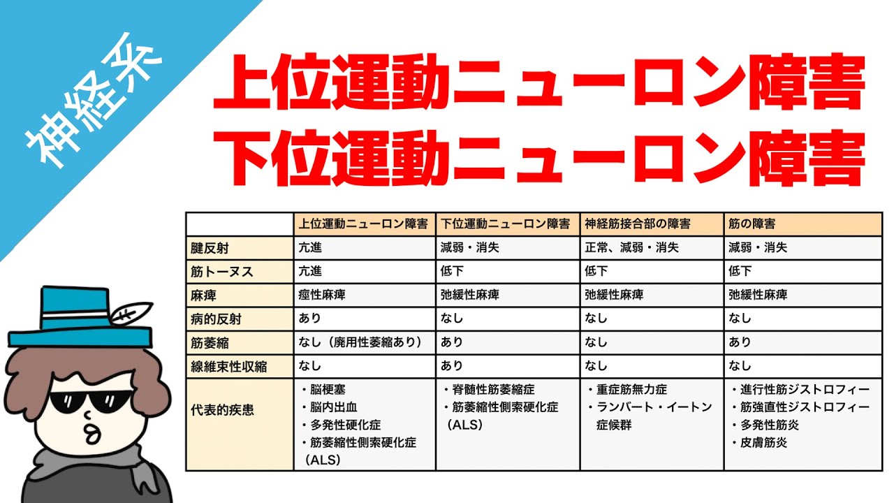 運動障害（上位運動ニューロン・下位運動ニューロン・神経筋接合部・筋）