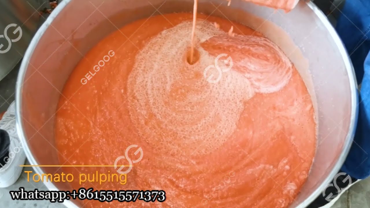 100KG/H Small Scale Tomato Paste Processing Machine For Sale