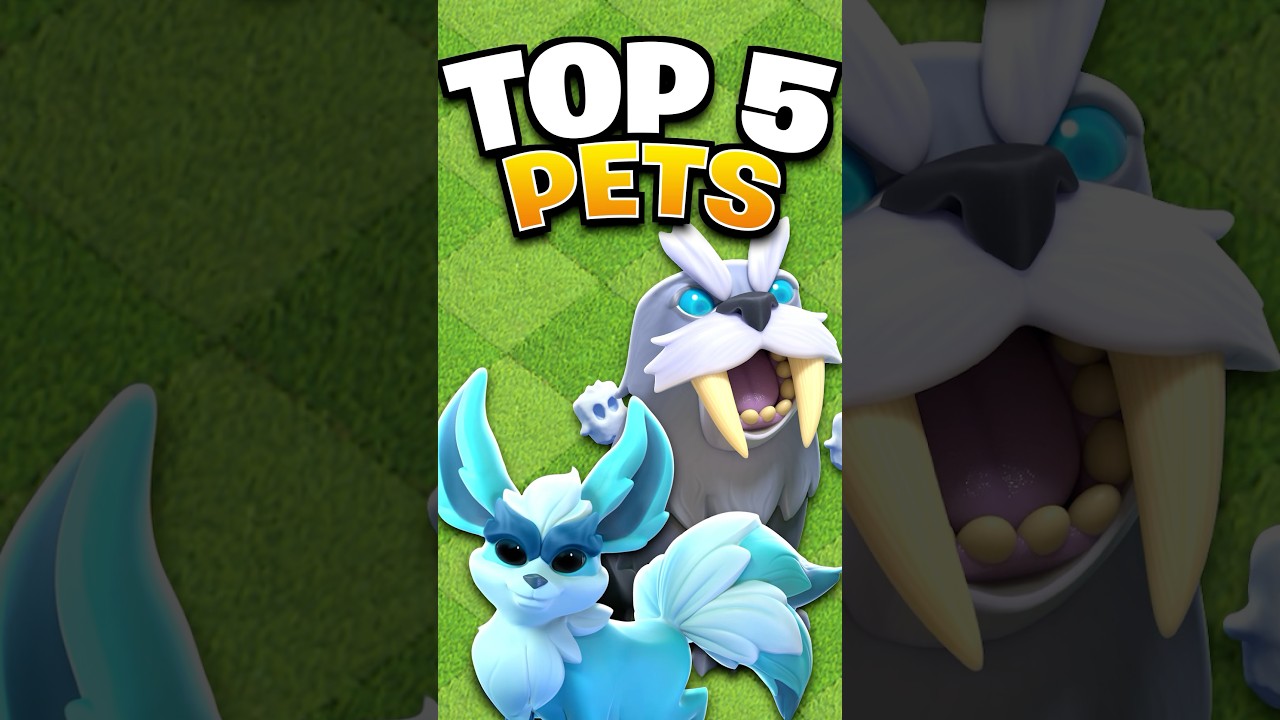 The TOP 5 BEST Hero Pets you NEED to Use!