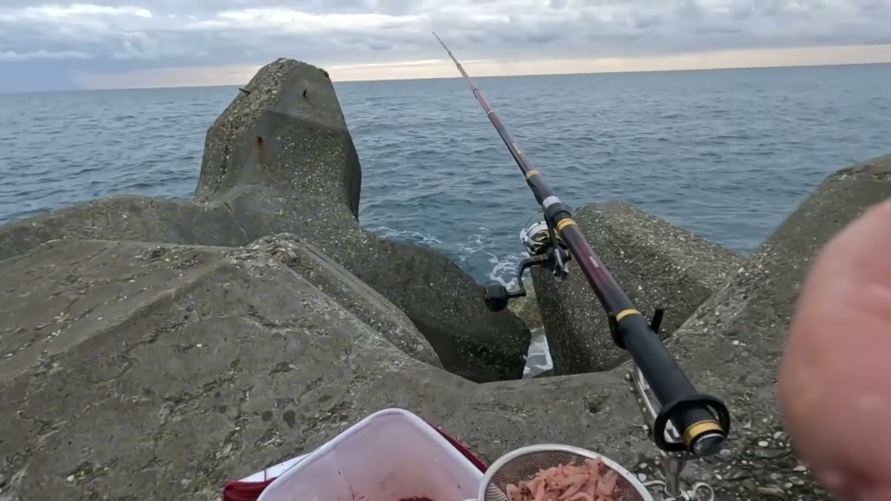 秋季遠投籠釣，這樣底捿魚這樣的咬況，你怎麼可能不愛，真的太舒服了！！