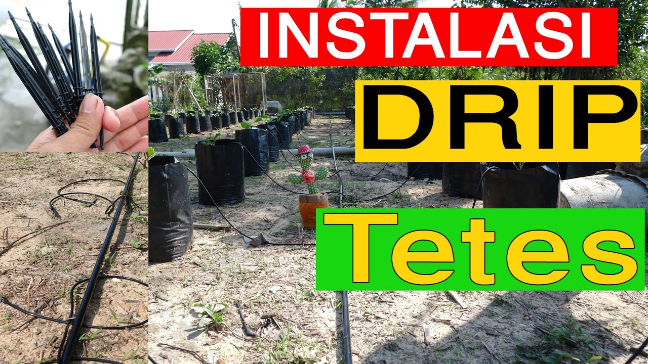 TUTORIAL INSTALASI PEMASANGAN DRIP IRIGASI TETES