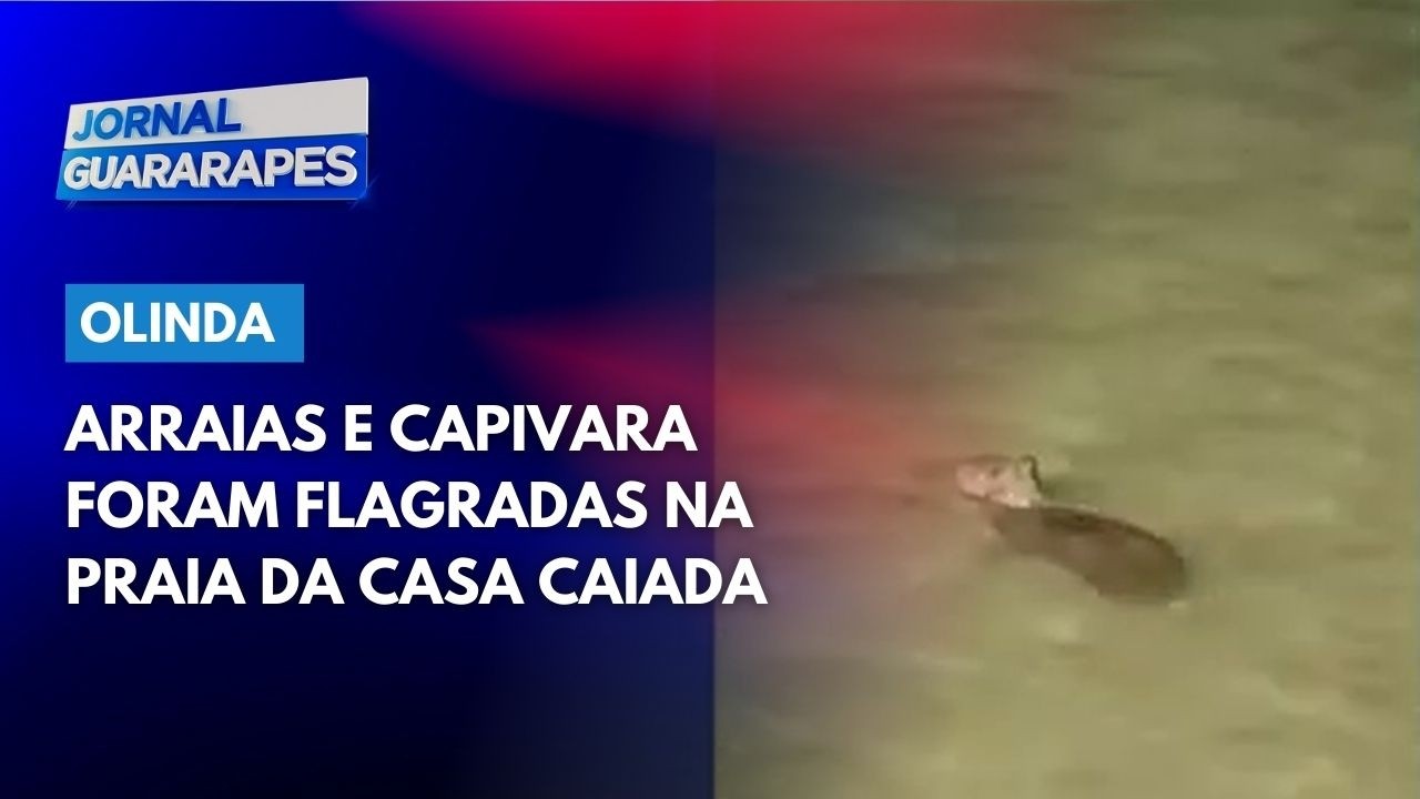 Arraias e capivara foram flagradas na Praia da Casa Caiada