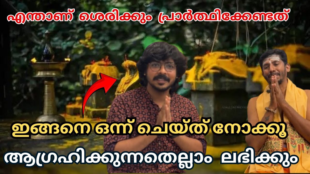 ദൈവം പ്രസാദിക്കും  ഇതുപോലെ ചെയ്താൽ 🙏