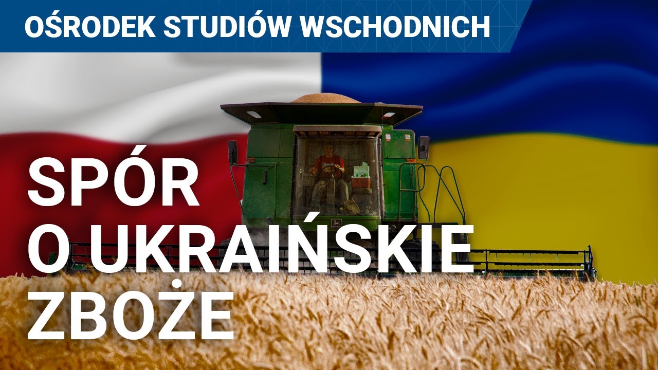 Embargo na ukraińskie zboże. Jak rozwiązać spór?