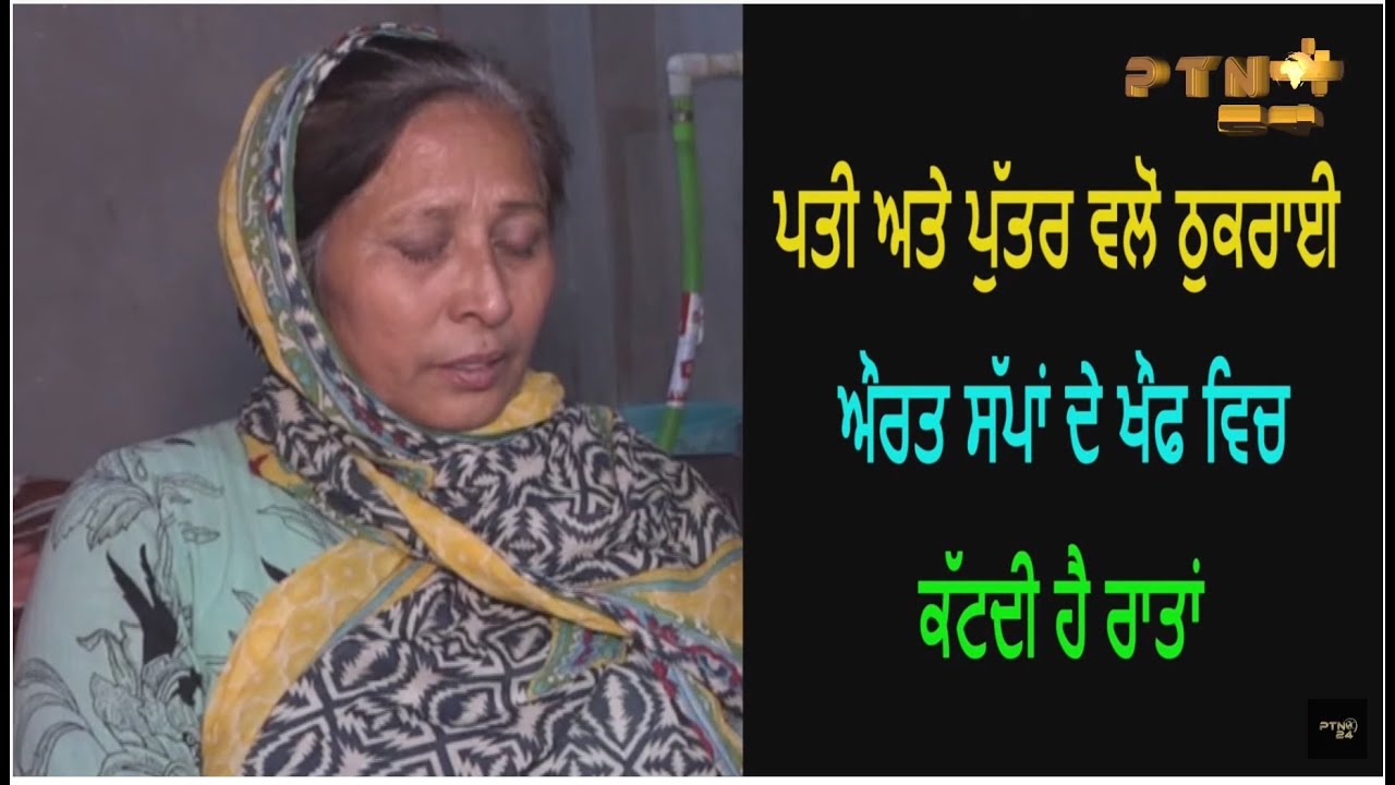 ਸੱਪਾਂ ਦੇ ਖੋਫ ਵਿਚ ਕੱਟਦੀ ਹੈ ਰਾਤਾਂ, ਪਤੀ ਤੇ ਪੁੱਤਰ ਵਲੋਂ ਠੁਕਰਾਈ ਔਰਤ || Balwinder Pakhoke PTN24