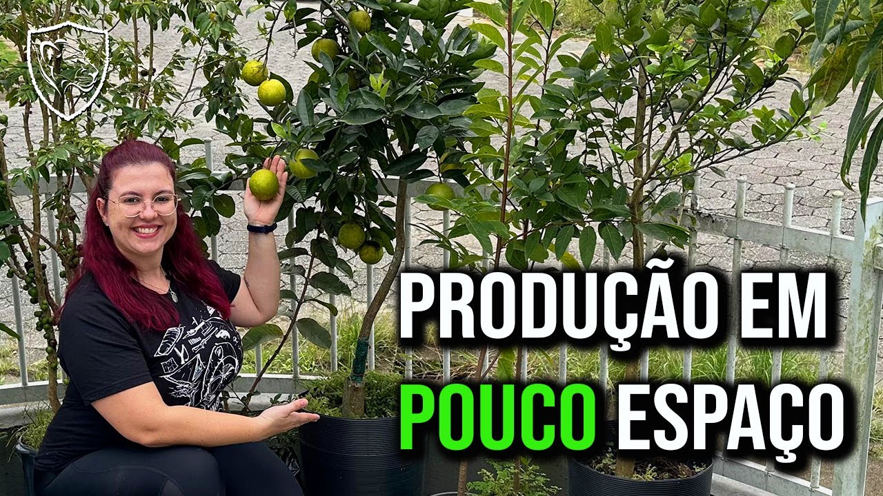 Como PRODUZIR frutas em VASOS!