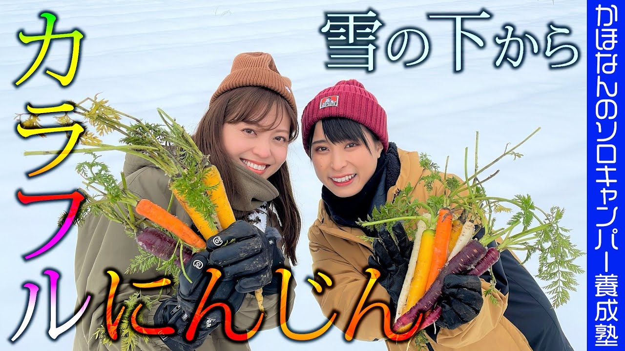 【雪下にんじん】めちゃ甘！雪原でおいしい野菜を大収穫！